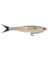 NESSIE GLIDE BAIT BURNT BONE 7"